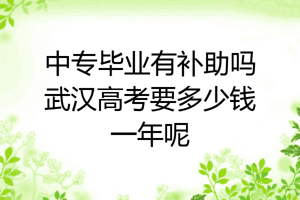 中专毕业有补助吗武汉高考要多少钱一年呢