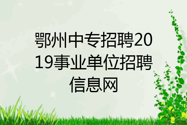 鄂州中专招聘2019事业单位招聘信息网
