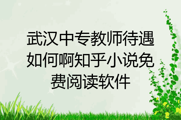 武汉中专教师待遇如何啊知乎小说免费阅读软件