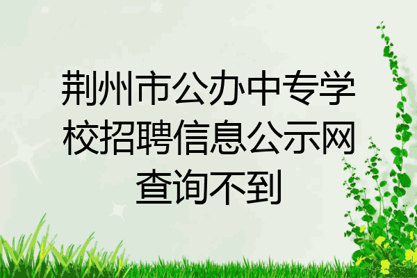 荆州市公办中专学校招聘信息公示网查询不到