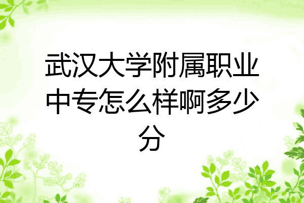 武汉大学附属职业中专怎么样啊多少分