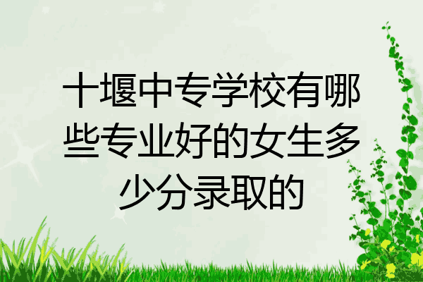 十堰中专学校有哪些专业好的女生多少分录取的