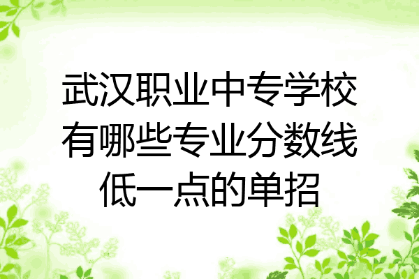 武汉职业中专学校有哪些专业分数线低一点的单招