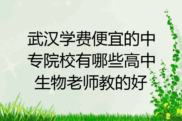 武汉学费便宜的中专院校有哪些高中生物老师教的好