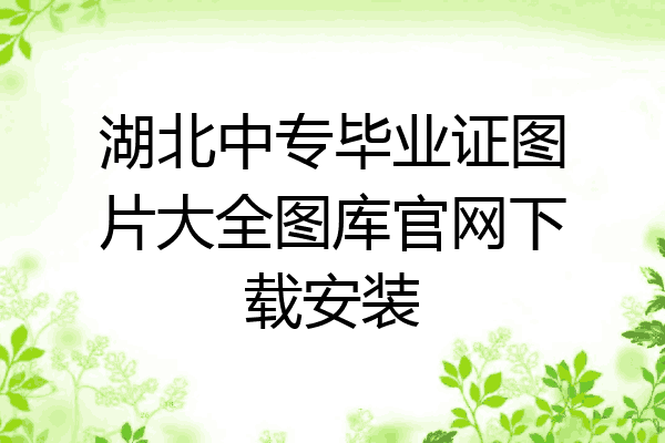 湖北中专毕业证图片大全图库官网下载安装