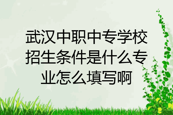 武汉中职中专学校招生条件是什么专业怎么填写啊