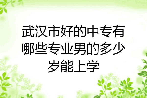 武汉市好的中专有哪些专业男的多少岁能上学