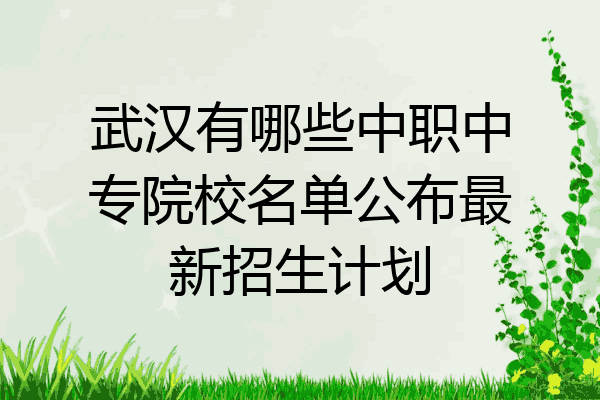 武汉有哪些中职中专院校名单公布最新招生计划