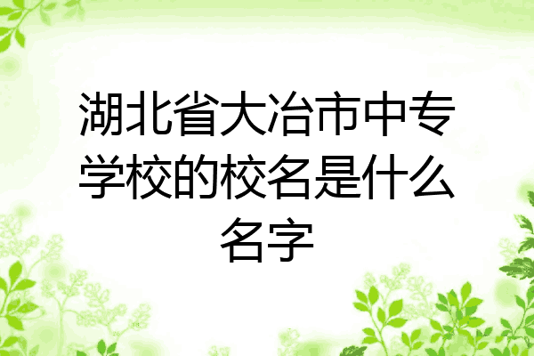湖北省大冶市中专学校的校名是什么名字