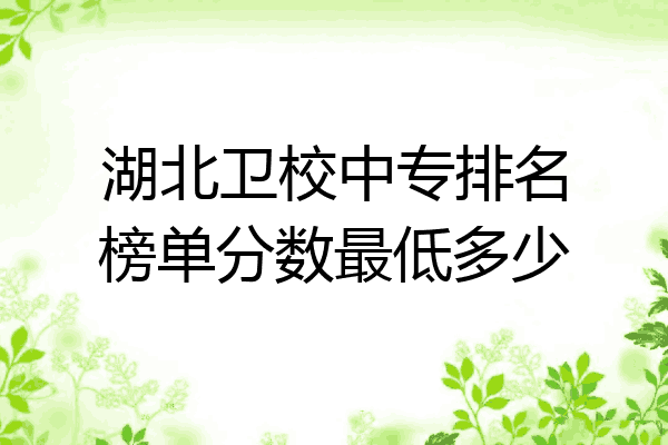 湖北卫校中专排名榜单分数最低多少