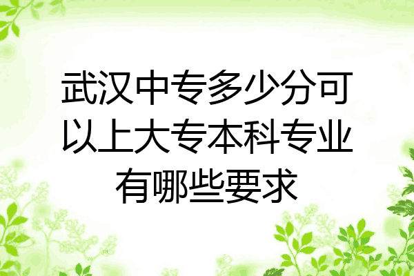 武汉中专多少分可以上大专本科专业有哪些要求