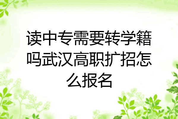 读中专需要转学籍吗武汉高职扩招怎么报名
