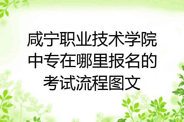 咸宁职业技术学院中专在哪里报名的考试流程图文