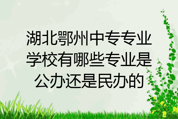 湖北鄂州中专专业学校有哪些专业是公办还是民办的