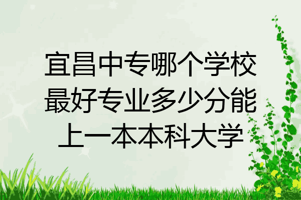 宜昌中专哪个学校最好专业多少分能上一本本科大学