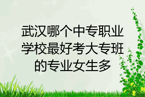武汉哪个中专职业学校最好考大专班的专业女生多