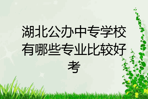 湖北公办中专学校有哪些专业比较好考