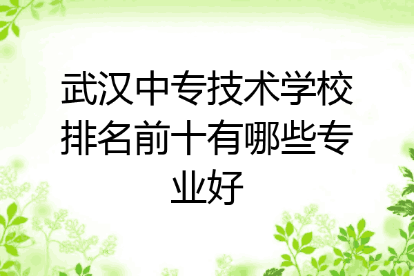 武汉中专技术学校排名前十有哪些专业好