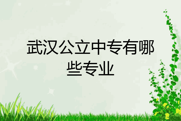 武汉公立中专有哪些专业