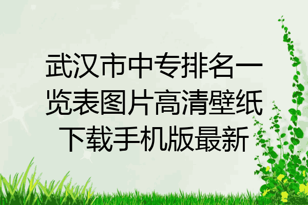 武汉市中专排名一览表图片高清壁纸下载手机版最新