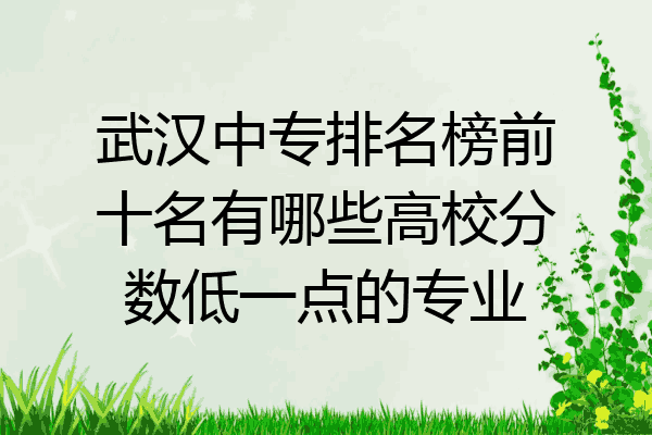 武汉中专排名榜前十名有哪些高校分数低一点的专业