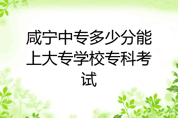 咸宁中专多少分能上大专学校专科考试