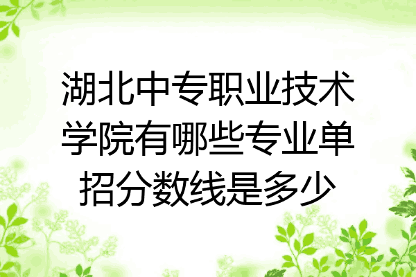 湖北中专职业技术学院有哪些专业单招分数线是多少
