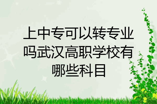 上中专可以转专业吗武汉高职学校有哪些科目