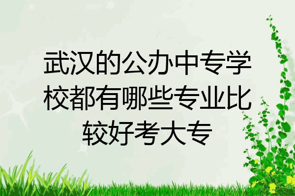 武汉的公办中专学校都有哪些专业比较好考大专