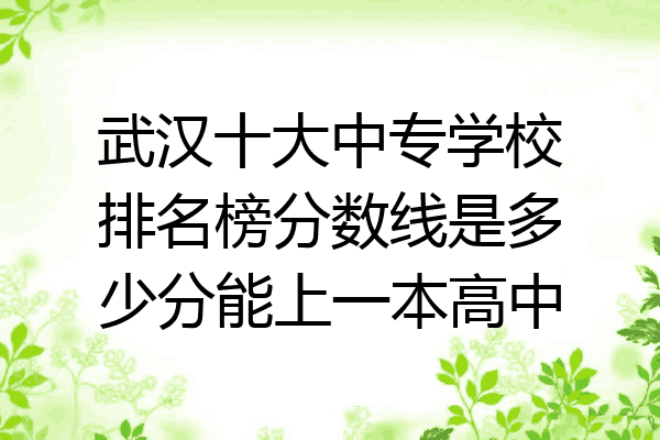 武汉十大中专学校排名榜分数线是多少分能上一本高中