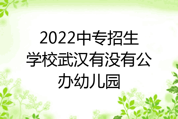 2022中专招生学校武汉有没有公办幼儿园