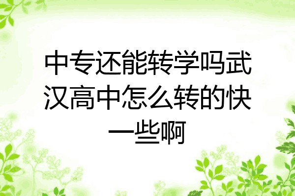 中专还能转学吗武汉高中怎么转的快一些啊