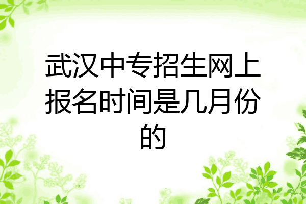 武汉中专招生网上报名时间是几月份的