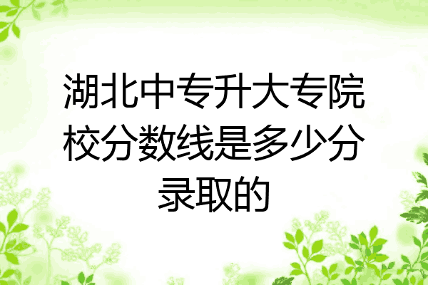 湖北中专升大专院校分数线是多少分录取的