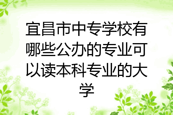 宜昌市中专学校有哪些公办的专业可以读本科专业的大学