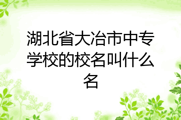 湖北省大冶市中专学校的校名叫什么名