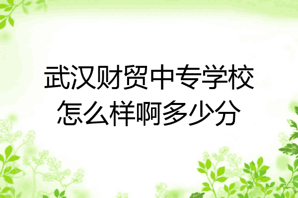 武汉财贸中专学校怎么样啊多少分