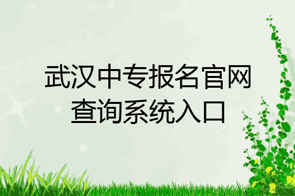 武汉中专报名官网查询系统入口