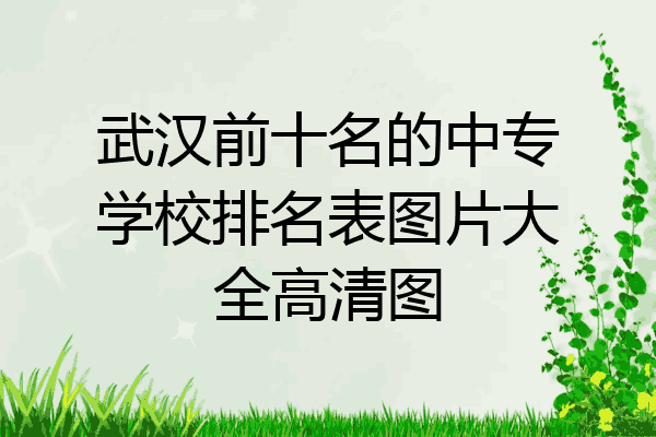武汉前十名的中专学校排名表图片大全高清图