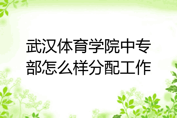 武汉体育学院中专部怎么样分配工作