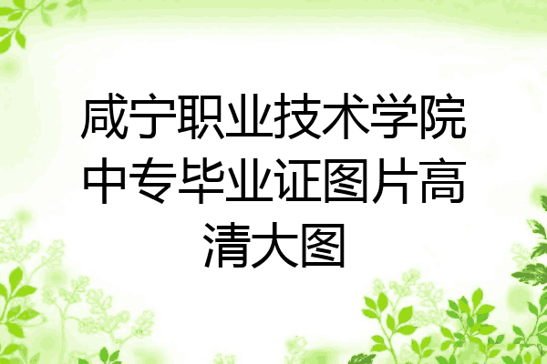 咸宁职业技术学院中专毕业证图片高清大图