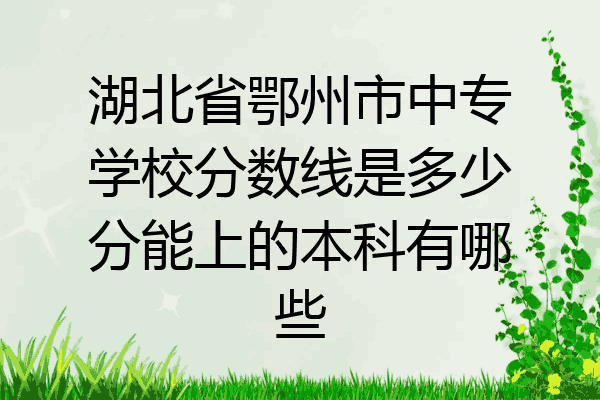 湖北省鄂州市中专学校分数线是多少分能上的本科有哪些