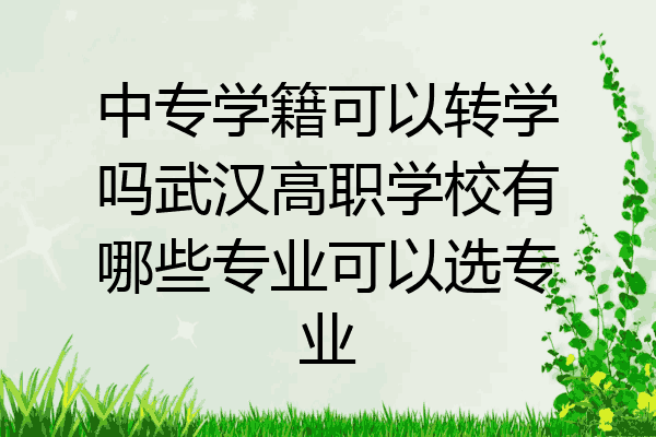 中专学籍可以转学吗武汉高职学校有哪些专业可以选专业