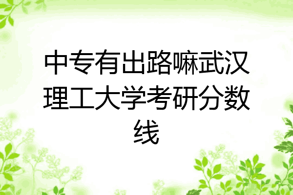 中专有出路嘛武汉理工大学考研分数线