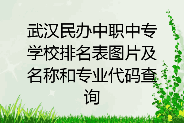 武汉民办中职中专学校排名表图片及名称和专业代码查询