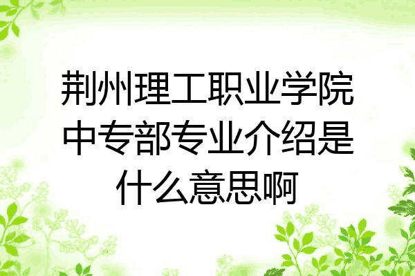 荆州理工职业学院中专部专业介绍是什么意思啊