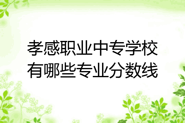 孝感职业中专学校有哪些专业分数线