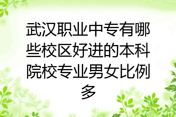 武汉职业中专有哪些校区好进的本科院校专业男女比例多