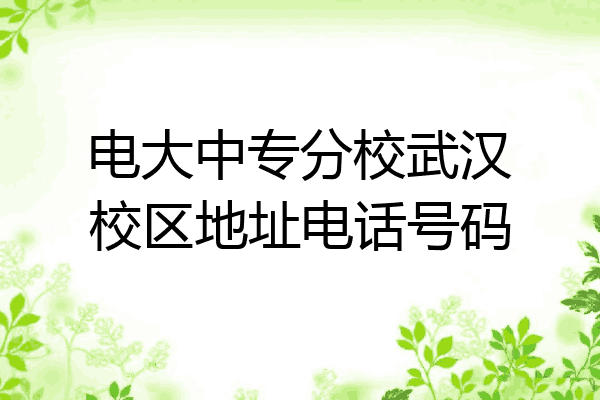 电大中专分校武汉校区地址电话号码