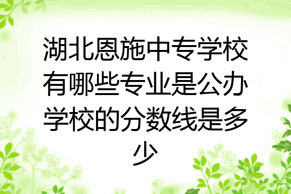 湖北恩施中专学校有哪些专业是公办学校的分数线是多少